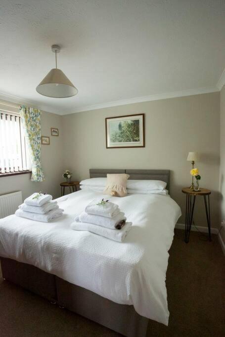 Goitre Bach Cottage Aberaeron Eksteriør bilde