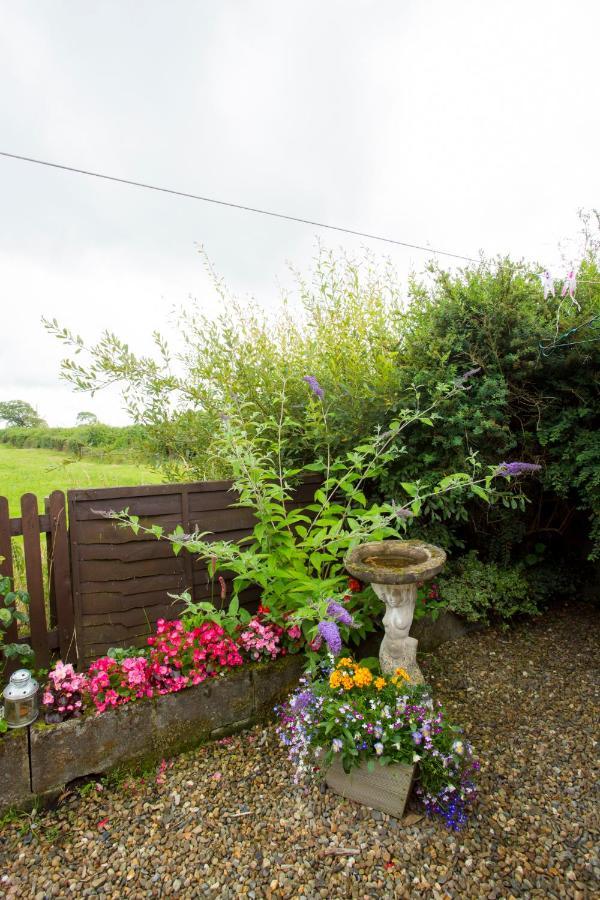 Goitre Bach Cottage Aberaeron Eksteriør bilde