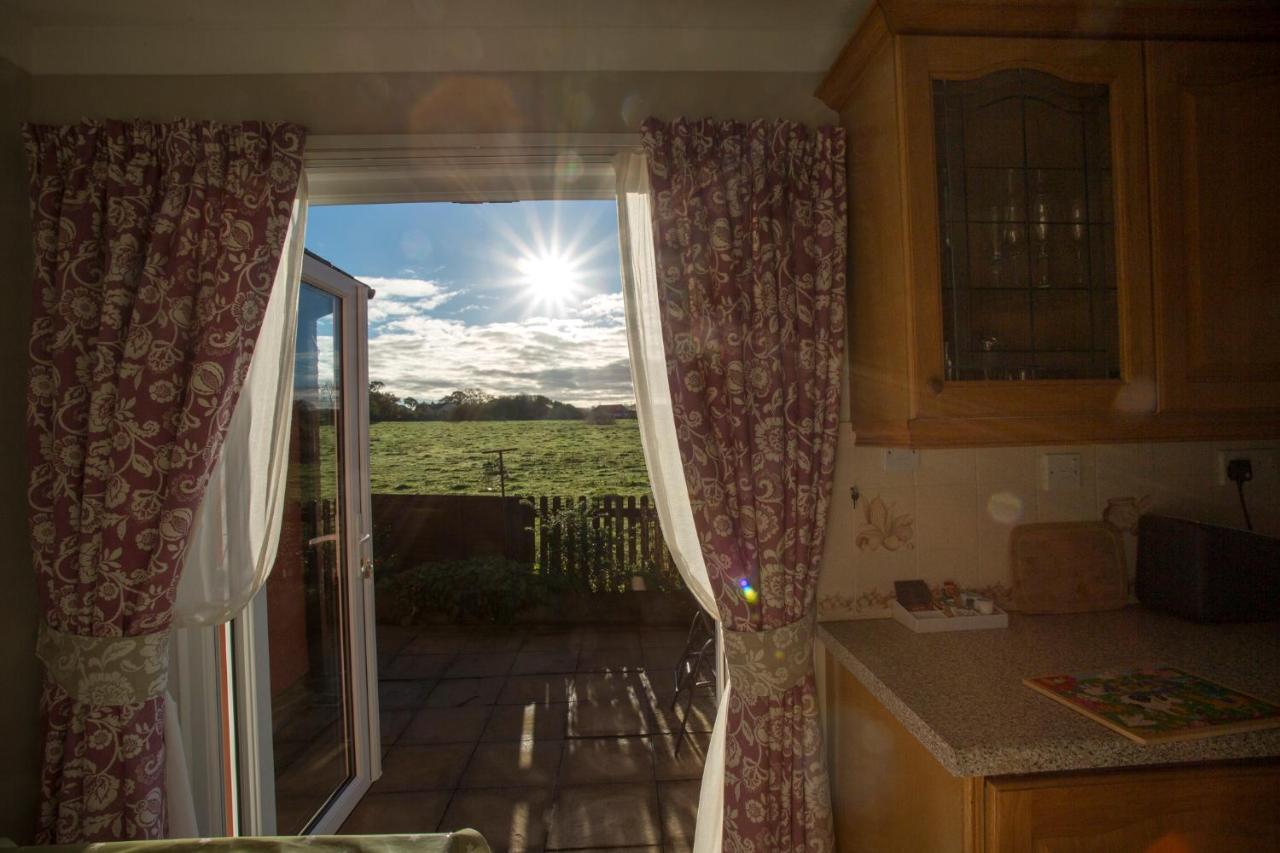 Goitre Bach Cottage Aberaeron Eksteriør bilde